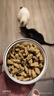 网易严选猫用薄荷饼干宠物幼猫成猫猫咪零食饼干鸡肉猫草味 95克 实拍图