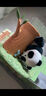 52TOYS Panda Roll熊猫也是猫盲盒潮玩动漫手办玩具单只价同618 实拍图