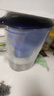 碧然德（BRITA） 家用滤水壶 净水壶滤芯 Maxtra 多效滤芯 6枚装 实拍图
