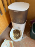 霍曼（Homerun）Real智能自动喂食器猫粮狗粮定时猫咪自动投食器（配陶瓷碗） 实拍图