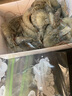 鲜京采 原装进口厄瓜多尔白虾 净重3.3斤 大号30-40规格 50-66只/盒 实拍图