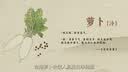 GO！SOLUTIONS无谷三鳕全猫粮8磅/3.63kg多肉成猫幼猫通用原装进口 实拍图