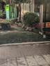 ulanzi优篮子 小隼Maglink相机磁吸快扣肩带单反快装背带微单通用减压斜挎摄影带适用索尼佳能尼康富士 磁吸快拆肩带【Classic·雪岩灰】 实拍图