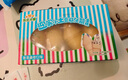 东北大板威化筒香草曲奇口味60g*4支 盒装 棒支 冷饮冰淇淋冰激凌雪糕批发 实拍图