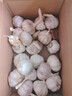 【百万单爆品】紫白皮蒜水果大蒜超市生鲜蔬菜调料即食蒜 【优选】 1斤 单果3.5-5cm 实拍图