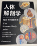 人体解剖学 结构和功能图谱 马超主译 借助分解图深入展示人体器官的工作动态 实拍图