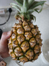 广东徐闻香水菠萝新鲜水果生鲜热带孕妇水果整箱包邮 【限时低价】1个装  单果650g起 实拍图