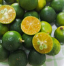 海南小金桔青金桔柠檬莫吉托新鲜水果奶茶店专用调味品单果5g-10g 海南青金桔3斤 实拍图