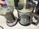 富光泡茶杯茶水分离高硼硅玻璃杯喝茶水杯子花茶杯男公道杯礼物400ML 实拍图