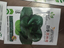 蔬菜种子四季播盆栽阳台庭院香菜生菜菠菜萝卜葱简单易种籽孑大全 四季青梗小白菜约800粒 实拍图