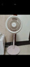 美的（Midea）【清新简约】家用定时空气循环扇摇头立式电风扇轻音节能落地扇宿舍桌面小型风扇空调伴侣FGA24TYR 实拍图