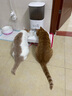 霍曼（Homerun）宠物智能自动喂食器猫粮狗粮定时猫咪自动投食机陶瓷双碗增高版 实拍图