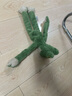 all for paws flora青蛙 毛绒狗狗玩具 耐啃咬响纸玩具 磨牙大型犬宠物玩具 实拍图
