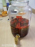 山德堂 密封玻璃泡酒瓶带龙头泡酒容器10斤装酿酒罐杨梅酒瓶泡酒专用瓶 【10斤带金色不锈钢龙头】无底座 实拍图