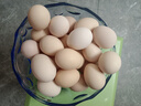 山林散养鲜鸡蛋40g枚早餐京东包邮买菜生鲜土鸡蛋溏心蛋水煮蛋 30枚 40g 实拍图