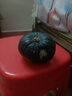 京喜加惠和一号贝贝南瓜生鲜新鲜蔬菜减肥减脂早餐沙拉必备 1-2个 500g 带箱 实拍图
