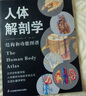 人体解剖学 实拍图