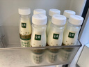 伊利金典3.8g乳蛋白 鲜活纯牛奶整箱 250ml*8瓶 30天常温短保 礼盒装 实拍图