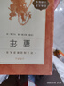 【社长力荐】童年 高尔基著 语文阅读推荐丛书（六年级上必读语文教材快乐读书吧义务教育课标中小学生阅读指导目录初中教材配套暑期阅读学生阅读课外阅读开学季）人民文学出版社 实拍图
