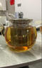 金灶（KAMJOVE） 600ML茶壶 耐热玻璃茶壶不锈钢过滤内胆泡茶壶 花茶壶煮茶壶A-07 实拍图