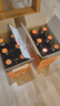 黄尾袋鼠（Yellow Tail）缤纷系列红酒 梅洛红葡萄酒 750ml*6瓶 智利版整箱装原瓶进口红酒 实拍图