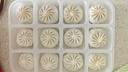 悦味纪 水晶薄皮素包子400g*2包 共24个 包子素馅 半成品早餐 速食面点 实拍图