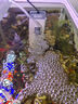 森森 小鲤鱼缸过滤器净水循环三合一内置水族箱过滤系统XQP-500F 6W 实拍图