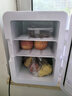 新飞小冰箱迷你车载冰箱宿舍车家用冷藏小型冷暖箱 车家两用 【白色】塑料门 12L 实拍图