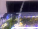 吉印刀锋s鱼缸灯led灯防水全光谱鱼缸照明灯水草灯小型超白鱼灯56cm 实拍图