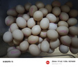 德青源A级鲜鸡蛋32枚2.74斤起无抗生素 谷物喂养 自有农场 年货节礼盒装 实拍图