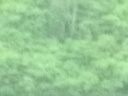 斑比儿童舞蹈袜夏季薄款白色打底裤练功专用袜子女童连裤袜 B280 儿童舞蹈袜【夏季薄款】 2双 8-11岁 120-140cm(建议身高) 实拍图