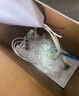 海尔（Haier）【鲜活水】1000Gpro家用净水机反渗透净水器双出水净饮机HKC2400-R883D2U1家电国家补贴 实拍图