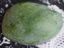 京鲜生 攀枝花凯特芒果 净重8.5斤 带箱9斤 单果400g+ 生鲜水果源头直发 实拍图