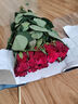 【玫瑰花】特价云南鲜花直发节日鲜花礼物花束水养插花七夕礼物 高原红玫瑰10枝 实拍图
