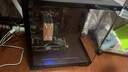 华硕全家桶 i5 14600KF/RTX5070显卡 高端游戏电竞台式组装电脑主机 DIY组装机 i5 12400F+华硕RTX4060 配置一 实拍图