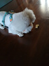 疯狂小狗 宠物狗狗零食冻干小型犬泰迪比熊幼犬磨牙棒 芝士奶棒洁齿骨180g 实拍图