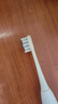 博皓（prooral）电动牙刷头 2740【T36/T39适用】 实拍图