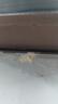 雷灭速蚂蚁药一窝端杀蚂蚁特效药家用室内外灭杀全窝连环杀蚁饵剂呋虫胺 实拍图