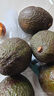 京鲜生肯尼亚进口牛油果 非即食  6粒装 单果150g+  源头直发 包邮 实拍图