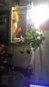 森森（SUNSUN）鱼缸过滤器壁挂过滤桶外挂式净水循环系统 【鱼便收集】8W过滤器+排污套餐 实拍图