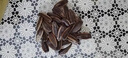 良品铺子葵花籽山核桃味150g 坚果炒货瓜子办公室宿舍休闲零食特产 实拍图