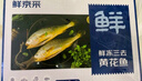 鲜京采 冷冻三去黄花鱼(宁德大黄鱼)1700g (5条装)  礼盒  生鲜 海鱼 实拍图