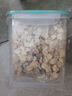 味当家冻干猫咪零食500g12种宠物猫零食冻干多春鱼鸡肉粒冻干拌猫粮零食 实拍图