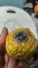 黄金钦蜜九号百香果 甜口 皱皮更甜不影响食用发货带青色 5个小果单果30-45g 黄金钦蜜九号百香果 实拍图