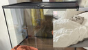 Barbarous Growth玻璃爬缸蜥蜴蛇甲虫乌龟陆龟爬宠爬虫角蛙饲养箱盒专用缸鱼缸 BT-11(50*30*35) 实拍图