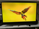 戴尔（DELL）31.6英寸4K QD-OLED电竞游戏影音大屏显示器120Hz 0.03ms HDR400 硬件防蓝光  5*5W音箱 S3225QC 实拍图