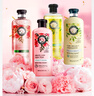 Herbal Essences玫瑰香氛进口洗发水400ml 持久留香控油蓬松柔顺男女士洗发露膏 实拍图
