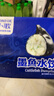 饺小歌 墨鱼水饺330g/袋15只 健康早餐夜宵 海鲜蒸煎饺速冻饺子生鲜速食 实拍图