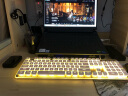 狼途L1静音键盘DSP环境降噪有线键鼠套装薄膜键盘电竞游戏家用办公平板电脑笔记本键盘耐磨防溅水发光 L1【低音】有线奶白暖光单光 实拍图