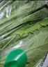 有机汇有机小白菜 杭白菜小青菜 宝宝辅食有机蔬菜无农残  当天新鲜采摘 500g 实拍图